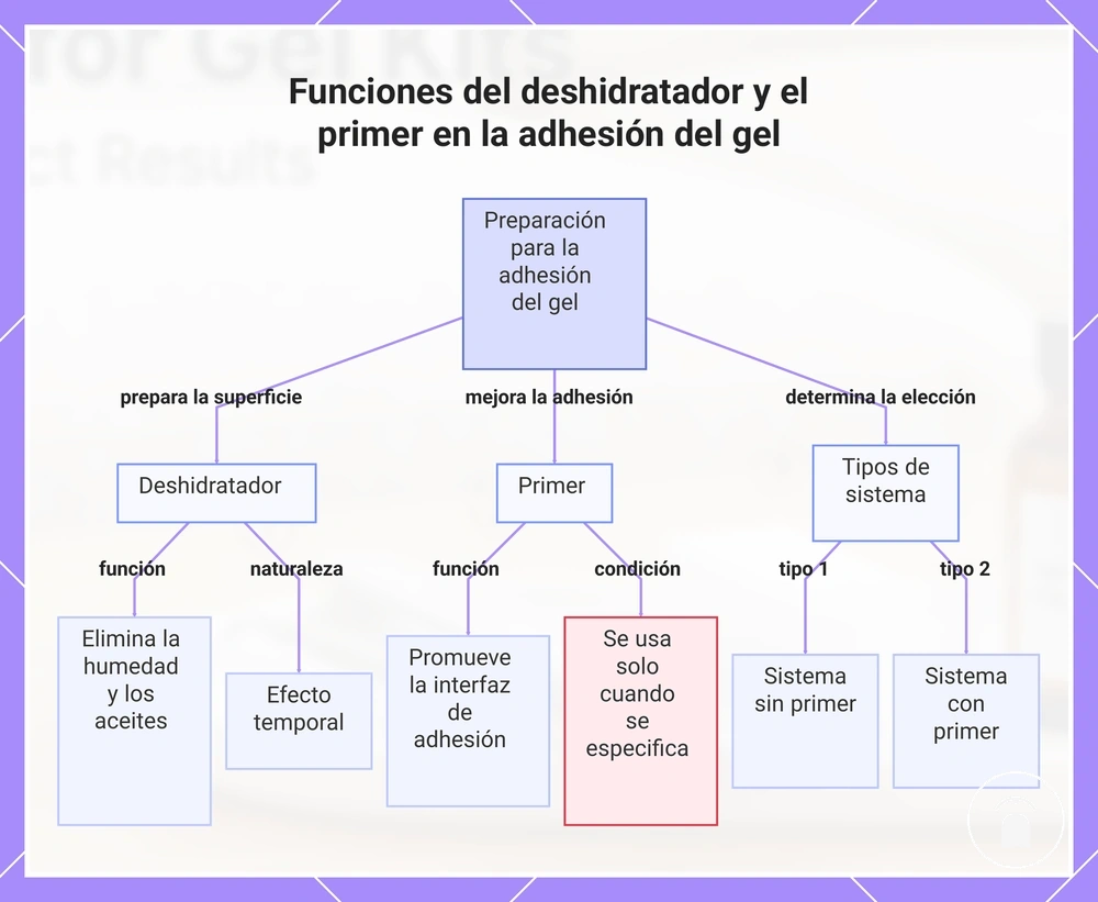 Funciones del deshidratador y el primer en la adhesión del gel