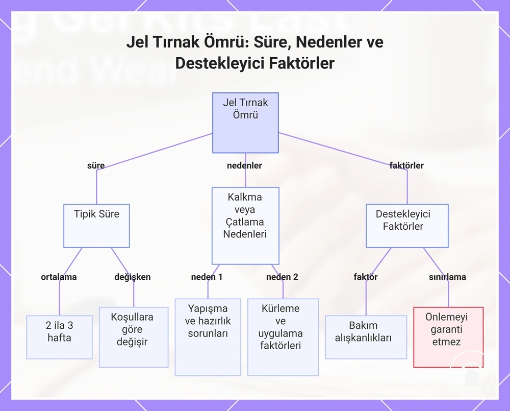 Jel Tırnak Ömrü: Süre, Nedenler ve Destekleyici Faktörler