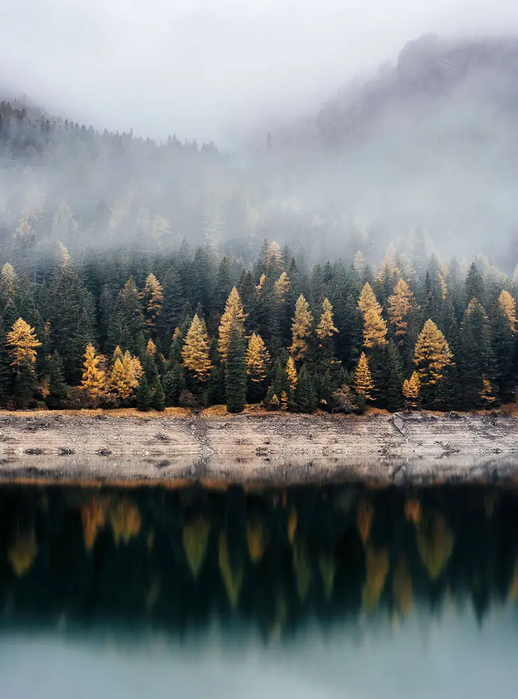 unsplash18 1 of 5