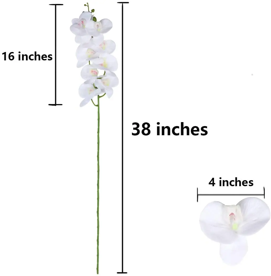Image Orchidées Blanches Artificielles 1