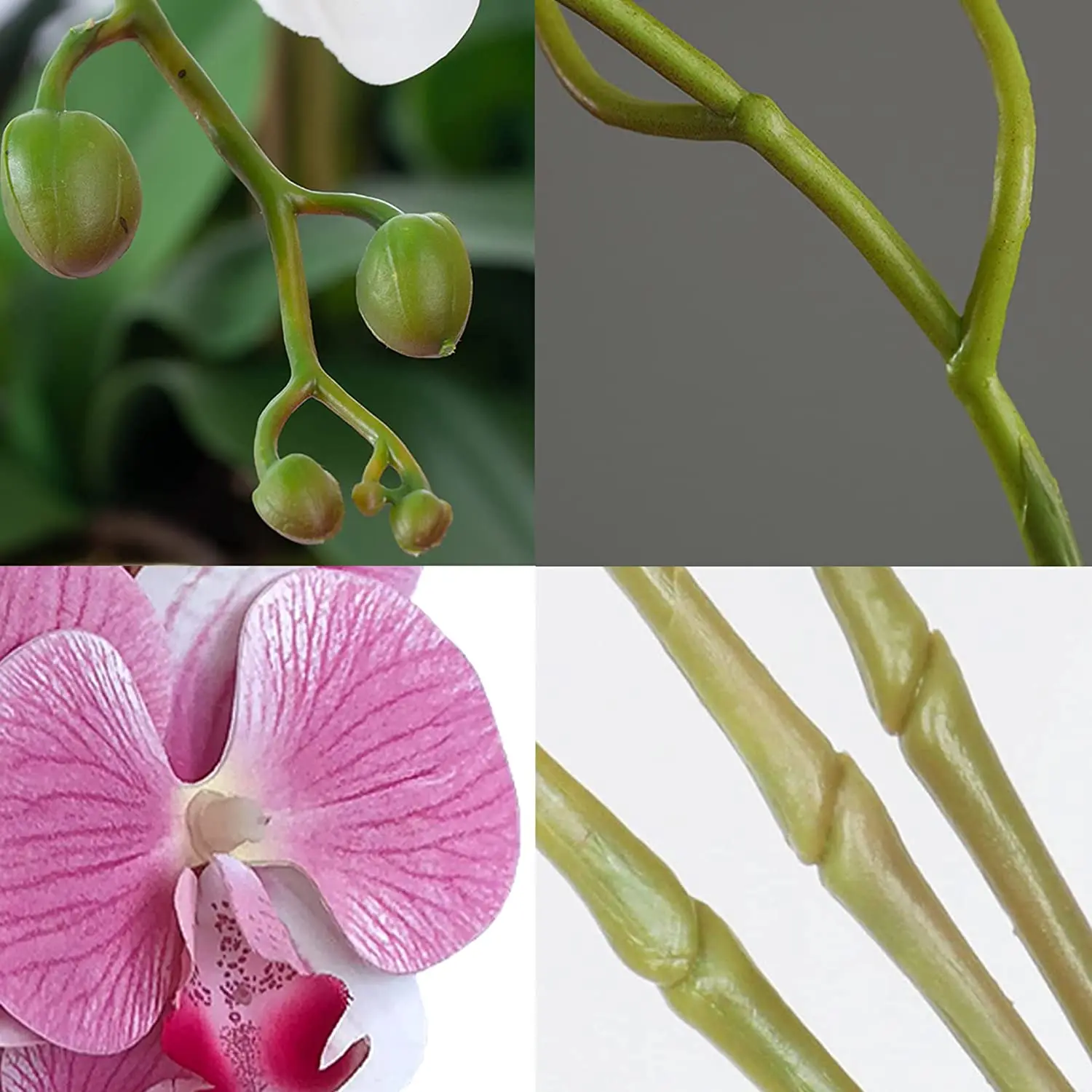 Image Orchidées Blanches Artificielles 11