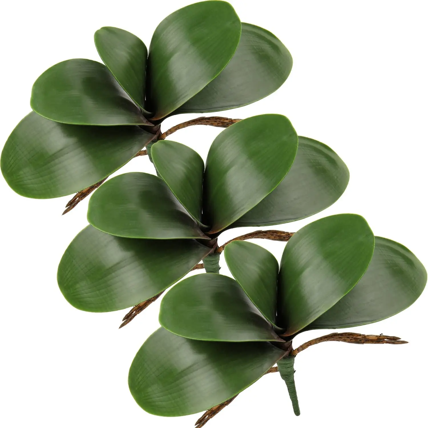 Image Orchidées Blanches Artificielles 9