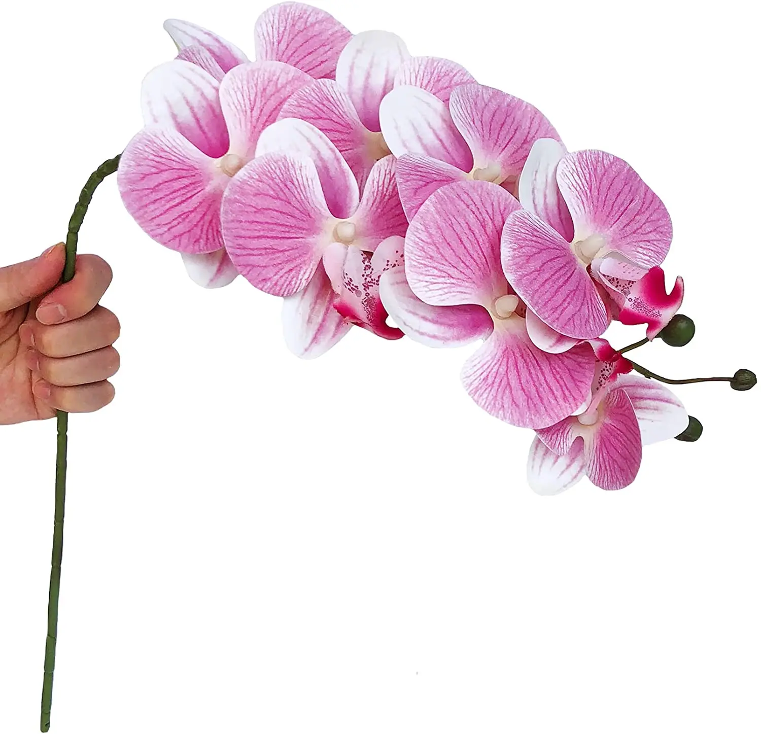 Image Orchidées Blanches Artificielles 12