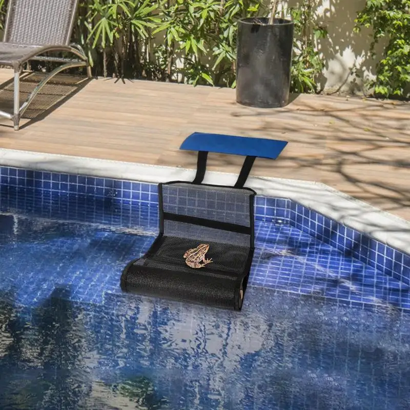 Spa Frog