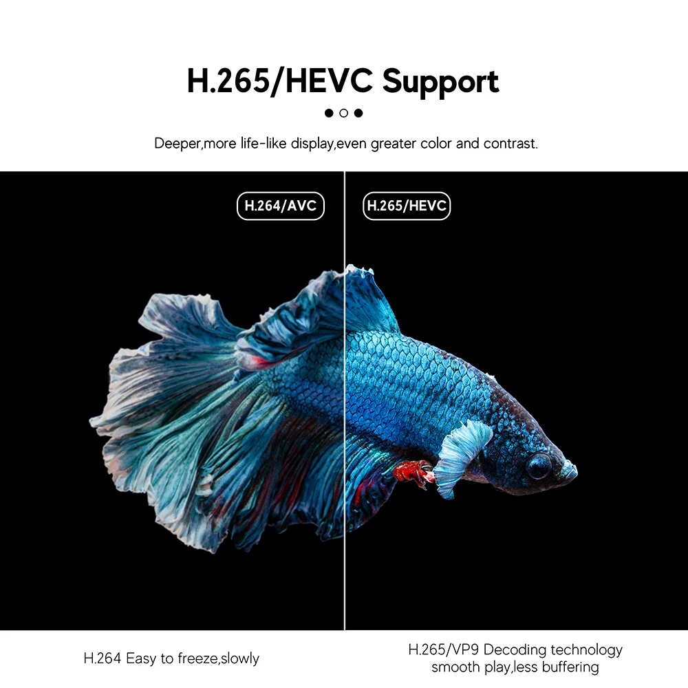 H 265 / HEVC