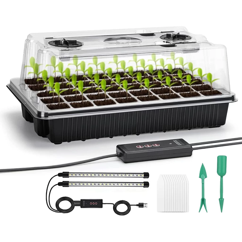 Coffret Graines