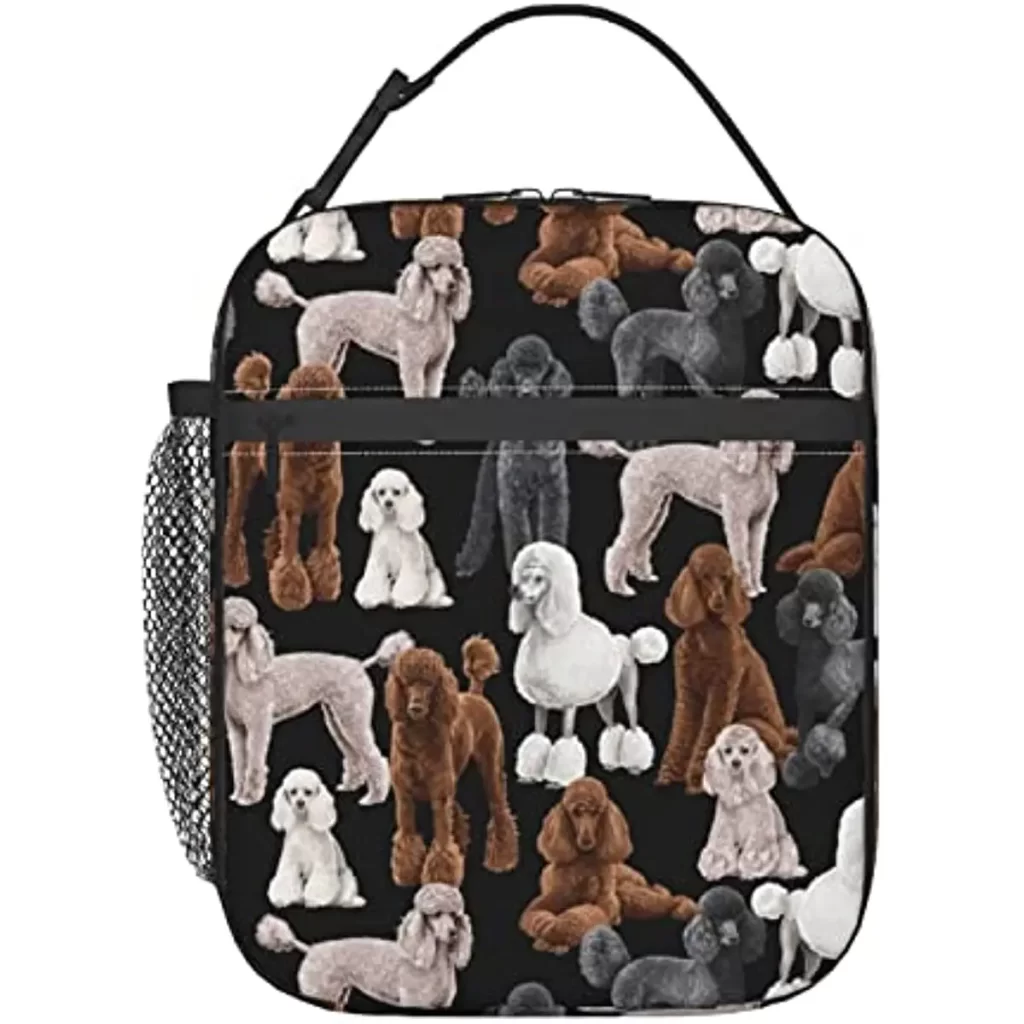 Coffret Pure Xs Homme